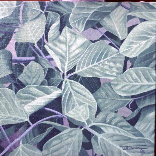 1980-11-PAGO-OSTOAK-24x24-Olioa-oihala