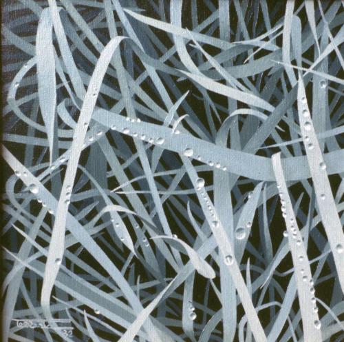 1982-6-IHINTZA-BELARREAN-24x24-Olioa-oihala