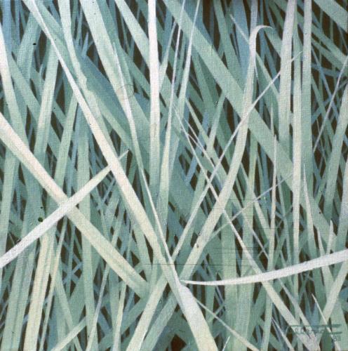 1983-11-BELARRAK-27x27-Olioa-oihala