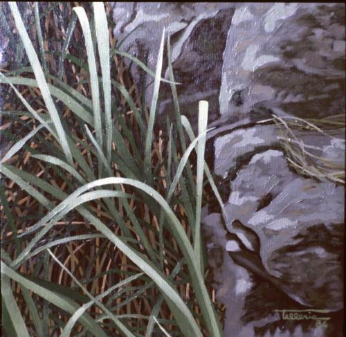 1984-13-BELARRAK-24x24-Olioa-oihala