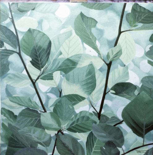 1984-5-PAGO-HOSTOAK-55x55-Olioa-oihala