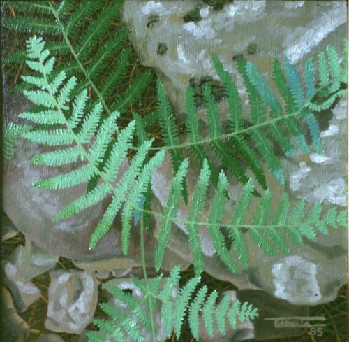 1985-6-GAROA-24x24-Olioa-oihala