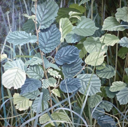 1985-9-URRITZA-55x55-Olioa-oihala