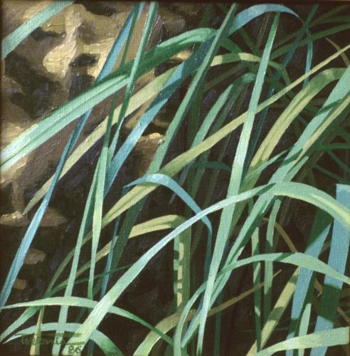 1986-24-BELARRAK-24x24-Olioa-oihala