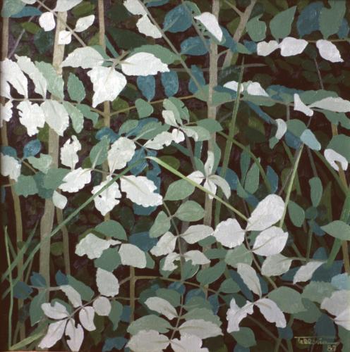 1987-1-HOSTOAK-55x55-Olioa-oihala