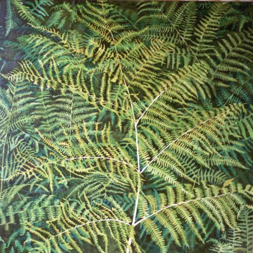 1994-11-GAROA-92x92-Olioa-oihala