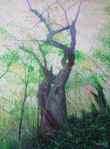 2012-01-Enbor-zaharra-54x73