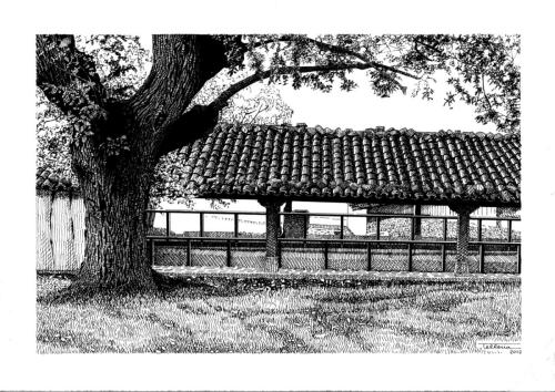 2012-Zeraingo-Bolatokia