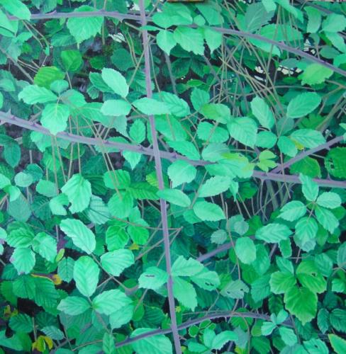 2018-6-SASIA-Oihala-60x60.-Akrilio-olioa